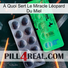 À Quoi Sert Le Miracle Léopard Du Miel new04